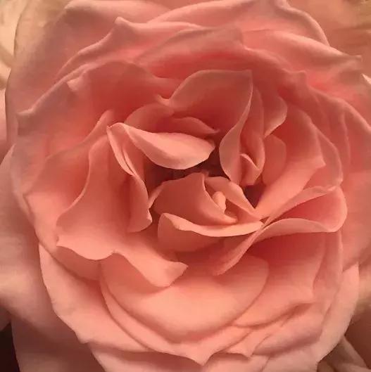 当男朋友和口红同时掉进水里,口红掉进水里了有用吗