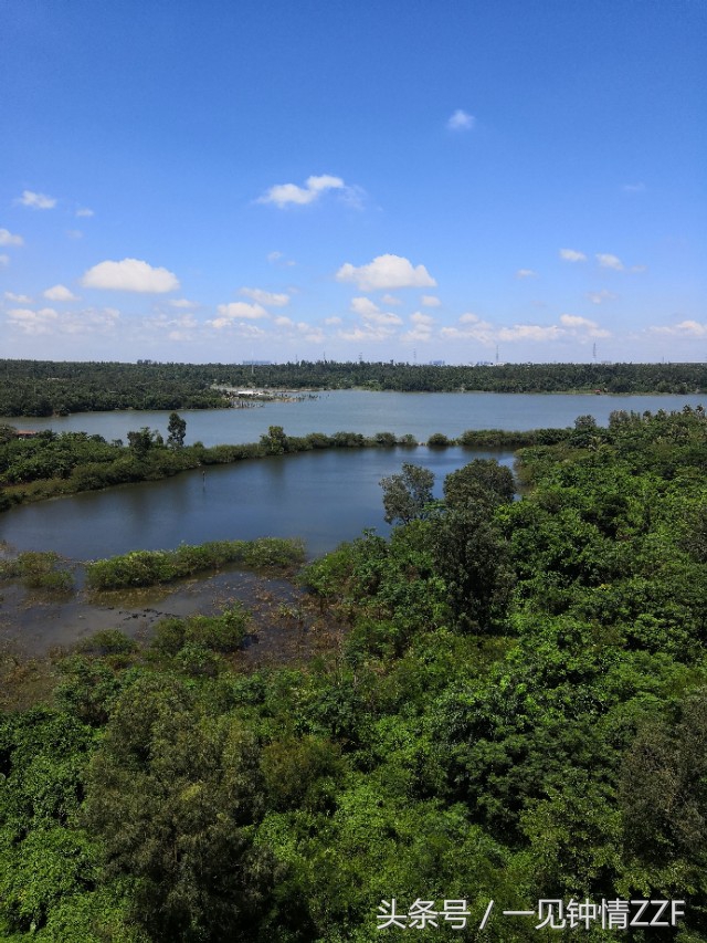 伴奏消音软件,伴奏消音用什么软件