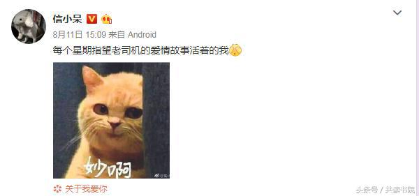 300w的锦鲤,300w锦鲤