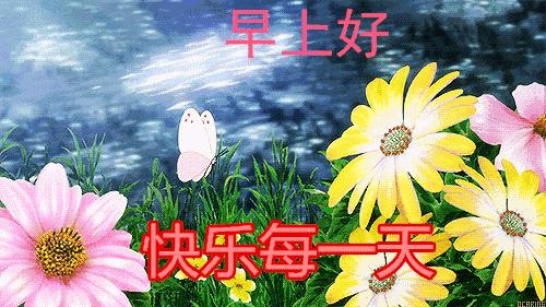 花开久久早安问候语,早安好运久久的句子