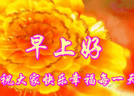 花开久久早安问候语,早安好运久久的句子