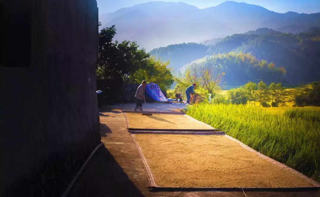 浙南绝美秘境,浙南生态秘境自驾