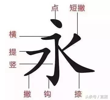 权威专家教你正确的汉字笔顺技巧,专家揭秘汉字正确的笔顺技巧