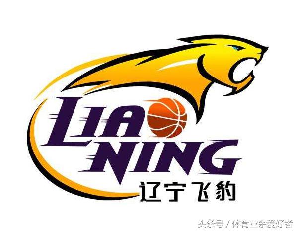 作为球迷应该知道些什么,球迷眼里的辽宁篮球