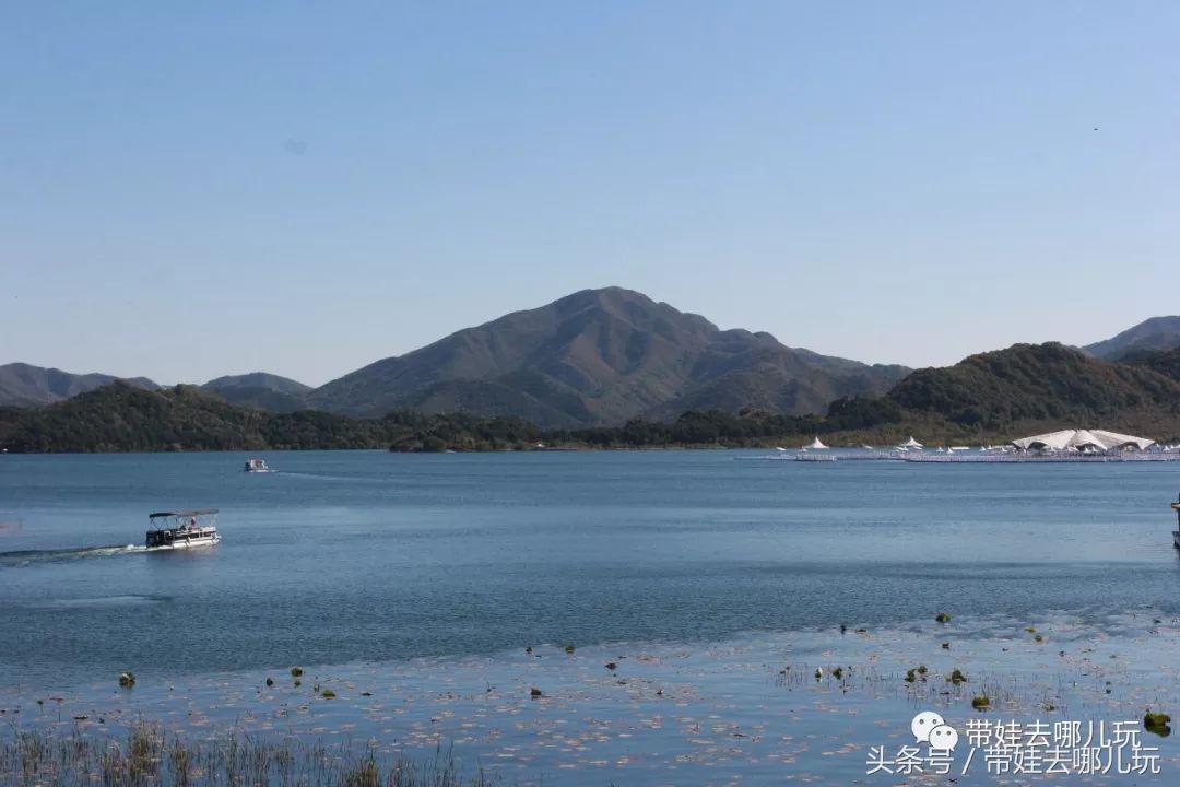 金海湖风景区有啥特点,金海湖风景区有什么玩的