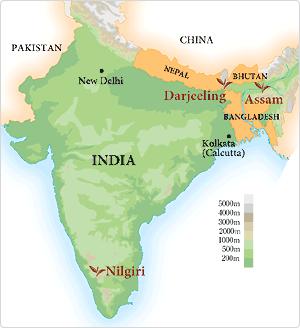 国外红茶排行榜前十名最好喝的茶,红茶出名的地方