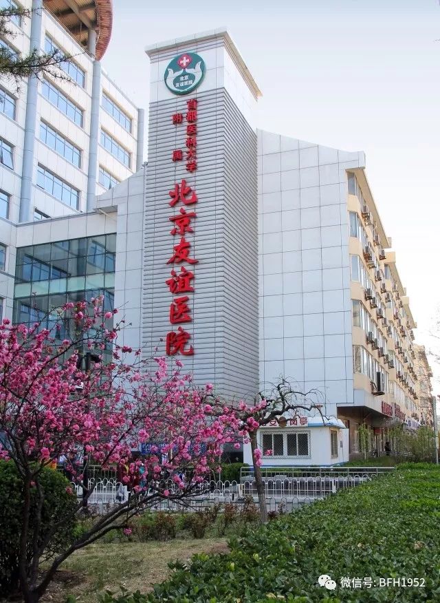 女人贫血易发什么病,女性贫血咋防治