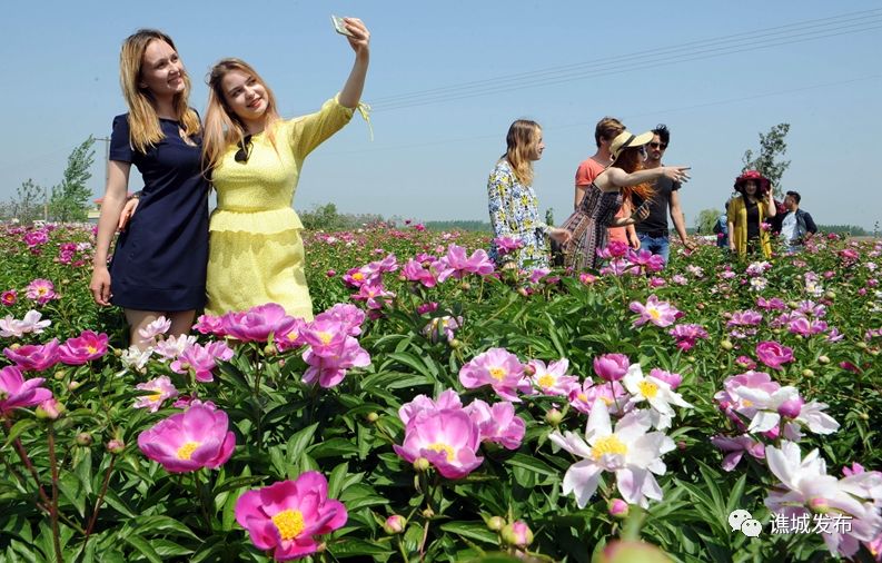 谯城区最美乡村,谯城区美丽乡村图集