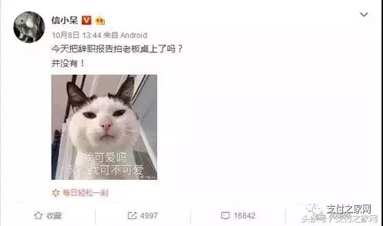 支付宝中华锦鲤奖品后续,支付宝中国锦鲤已被选中