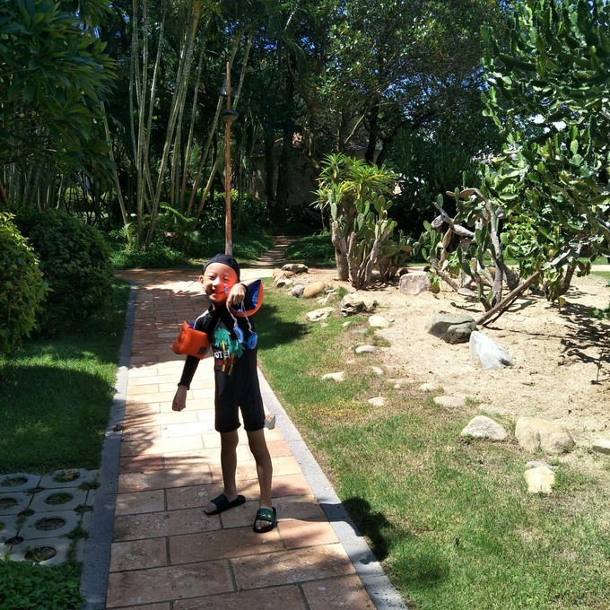 三亚自由行美食相伴攻略,三亚三日游美食