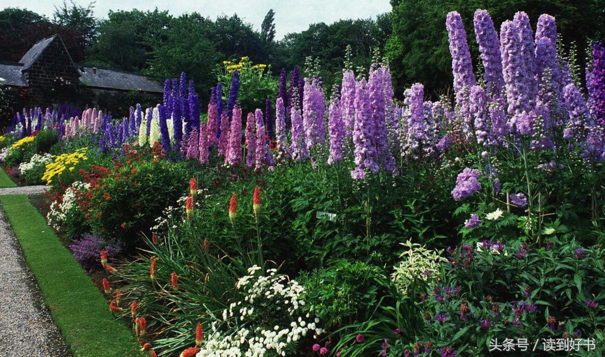 各种花的寓意及花语代表爱,黄玫瑰代表着哪些花语和寓意