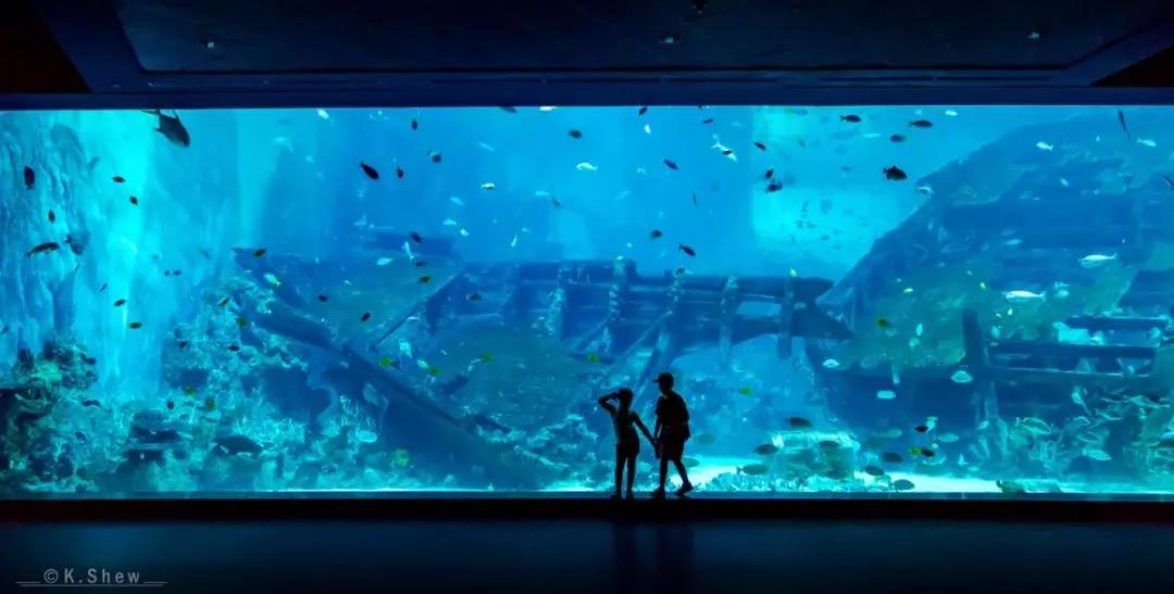 triporg旅行版,深扒中国锦鲤的免费旅行清单