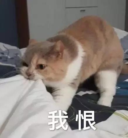 95开头的推销诈骗电话,05开头的推销电话接了有危险吗