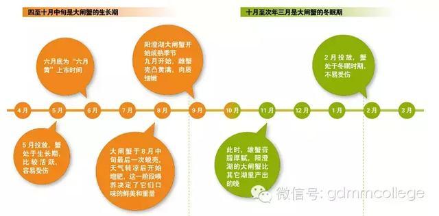 大闸蟹生活常识大全,大闸蟹你不知道的一些知识点
