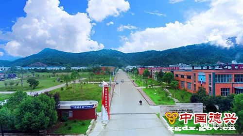 “铜都”转型，恰逢其时——专访江西省德兴市委书记刘瑞英