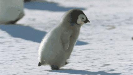 鐢ㄥ浜嗕骇鍝佺湡鐨勫緢閲嶈,鐢ㄥ皬蹇冩満鎾╁埌浜嗚嚜宸卞枩娆㈢殑鐢蜂汉