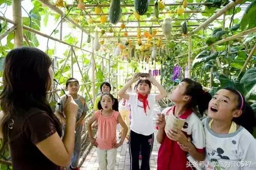 小学三年级语文必学知识,小学三年级语文阅读该怎么学习