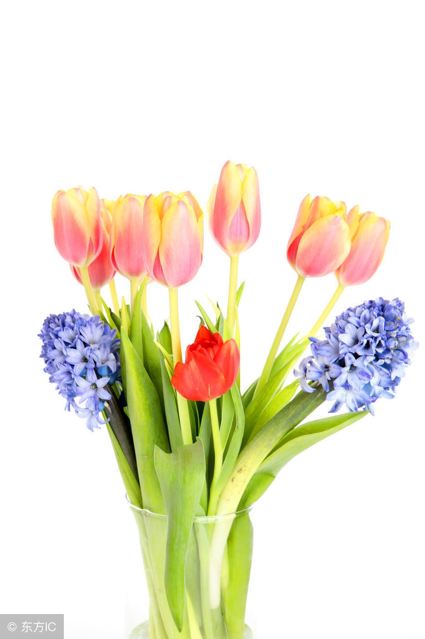 花语全套,花语lolita全套全款多少