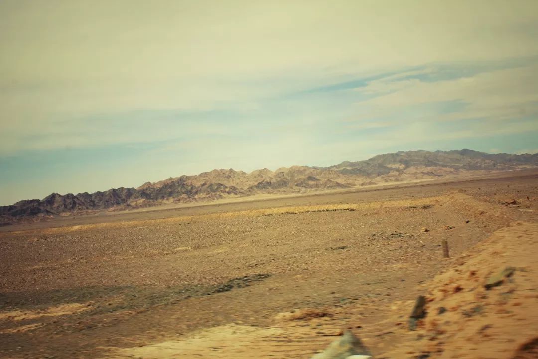 车叔的全部视频,车叔的最新视频