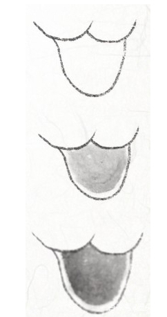 工笔禽鸟技法视频,工笔鸟翅膀画法