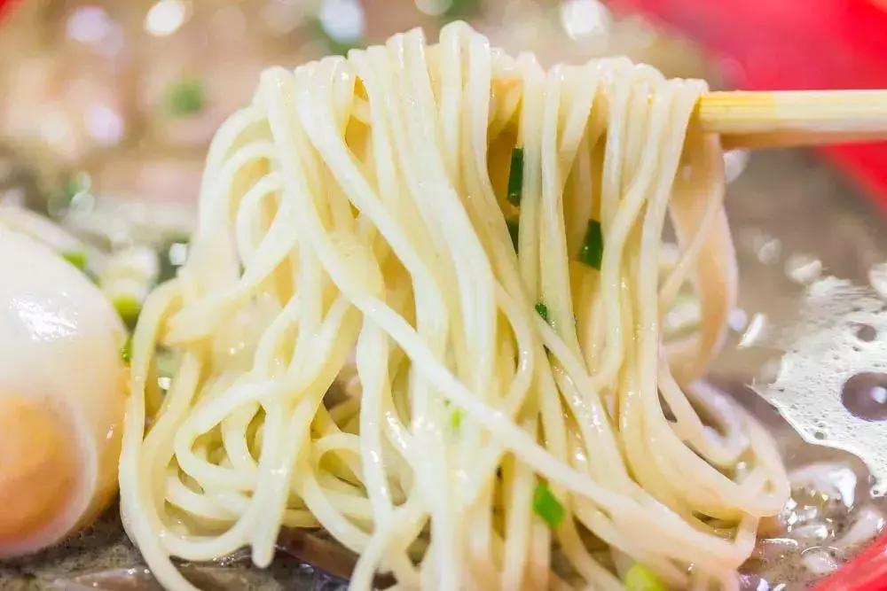 日本本土拉面探店,日本十大拉面探店