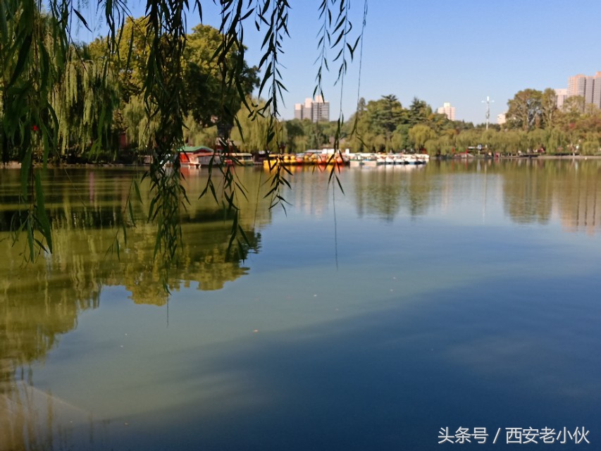 西安兴庆公园合唱团直播,西安兴庆公园歌手