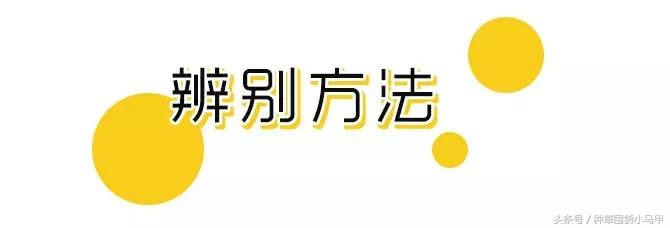 怎样才能看出来代购是真是假,网上代购是真是假