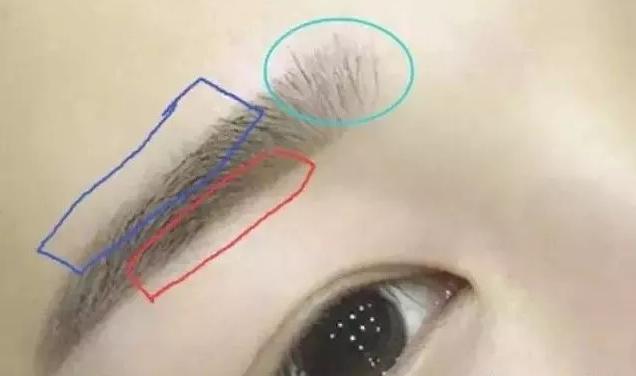 雾眉真人渐变操作技巧,通透立体的雾眉操作技巧