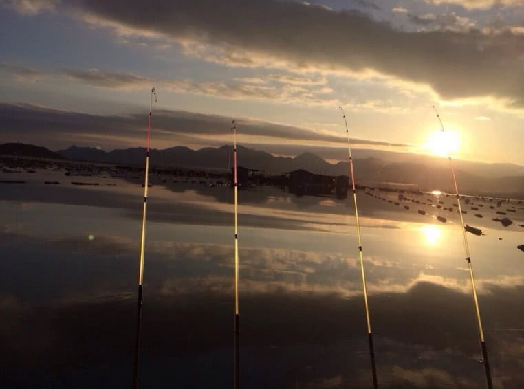 海钓最大的收获,海钓过足瘾