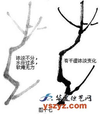 国画基础梅花的几种画法,徐湛国画梅花的画法视频