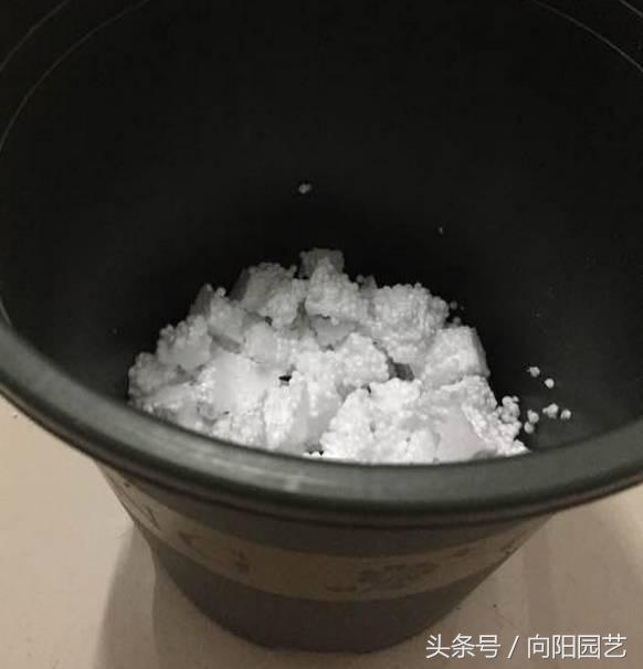 养花首先要养土,养花先养根合理的配土很重要