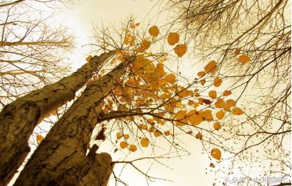 吹呀吹创意美术,创意美术我爱吹泡泡