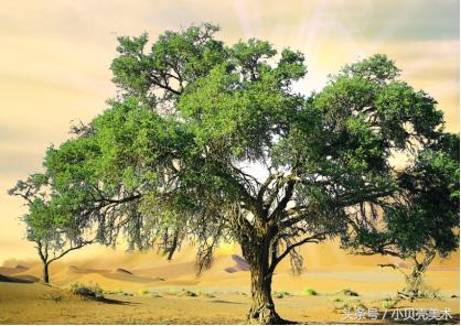 吹呀吹创意美术,创意美术我爱吹泡泡