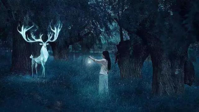 科学家解析梦境,梦境真的存在吗科学解释