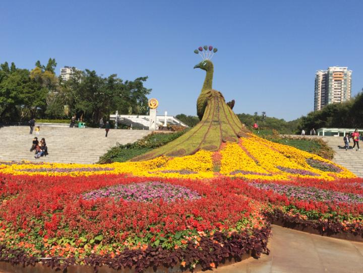 深圳哪里有海滩免费景点,深圳十大免费景点有哪些