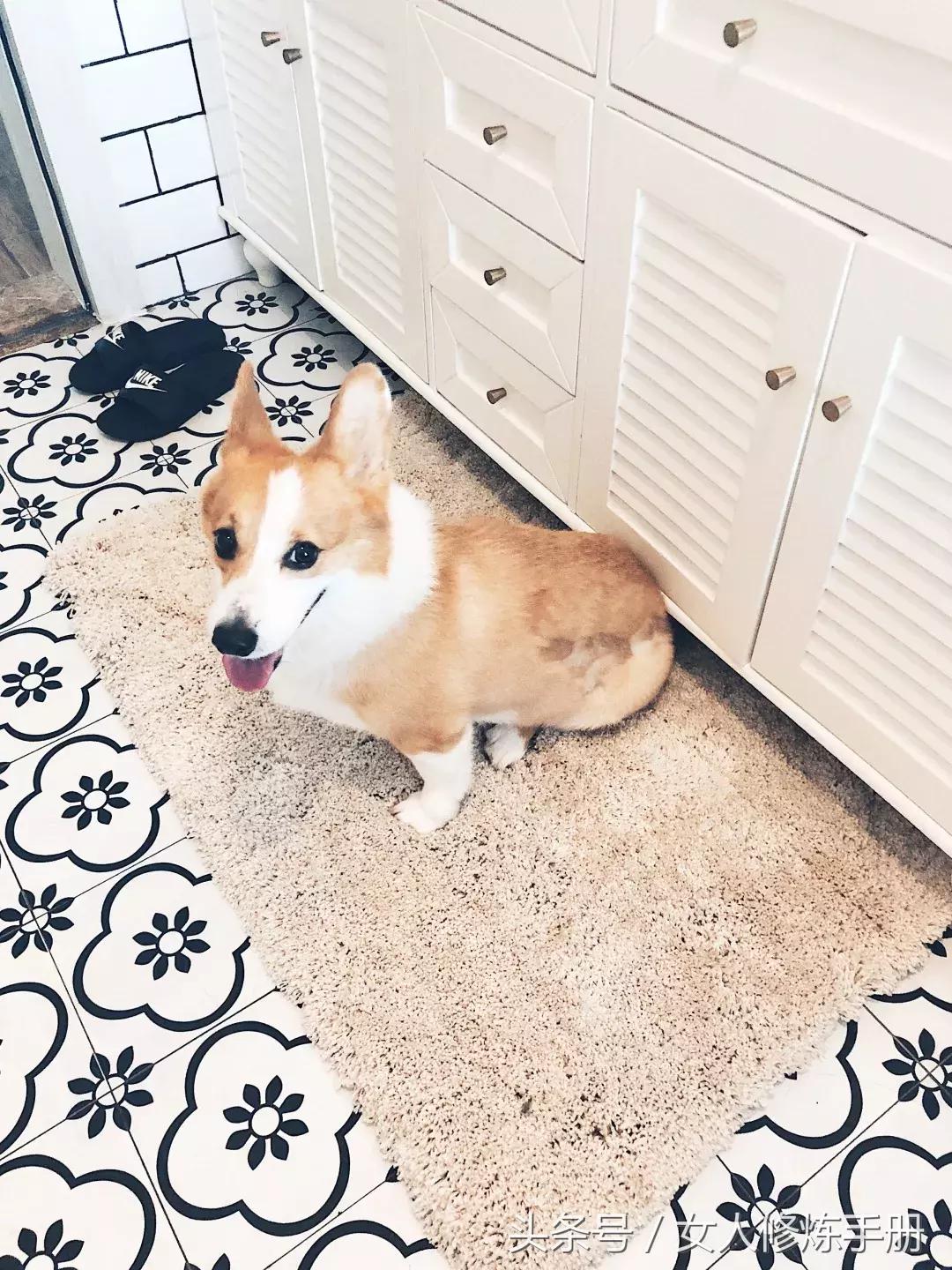 有爱和阳光是家该有的样子,有爱才有丰富的生活