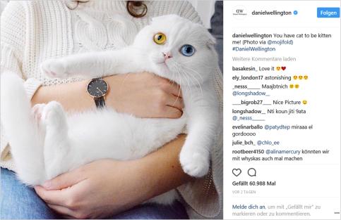 dw广告营销案例分析,dw怎么营销的