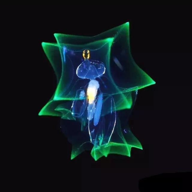 海洋探秘资料,海洋探秘鲨鱼