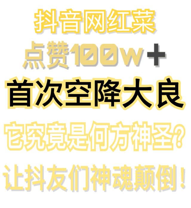 抖音美食一铲子海鲜,抖音100w赞以上视频