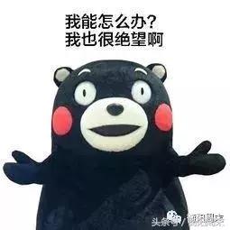 衡阳温度15天预报最新,衡阳将迎降雨天气情况