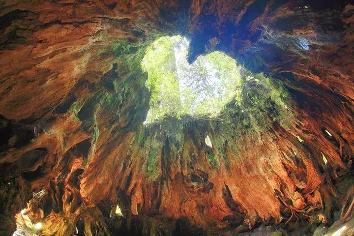 东京和北海道哪里旅游好一点,东京和北海道哪里旅游便宜