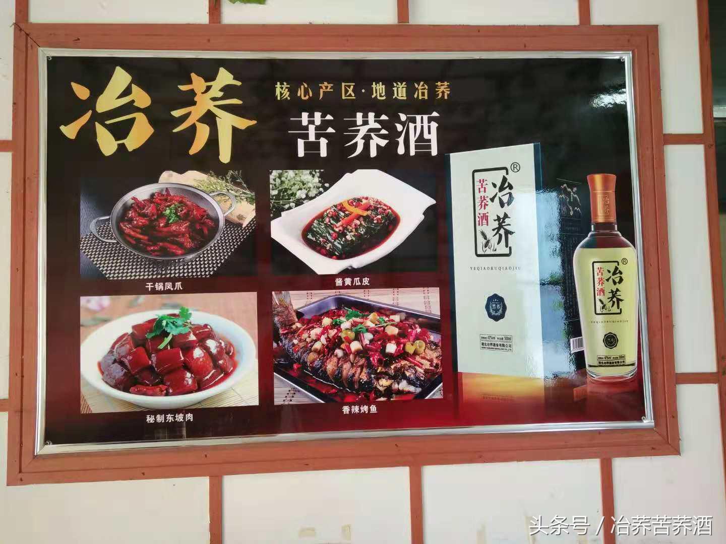 探秘荞酒核心产区,开启健康荞香之门,看“冶荞”如何势不可挡!