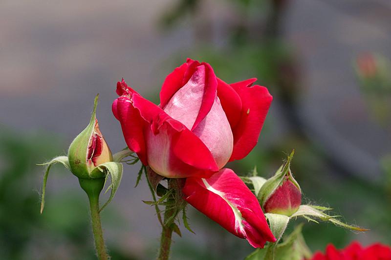 人在穷时要改掉自己的几个习惯,人穷时改掉三个习惯就会变富