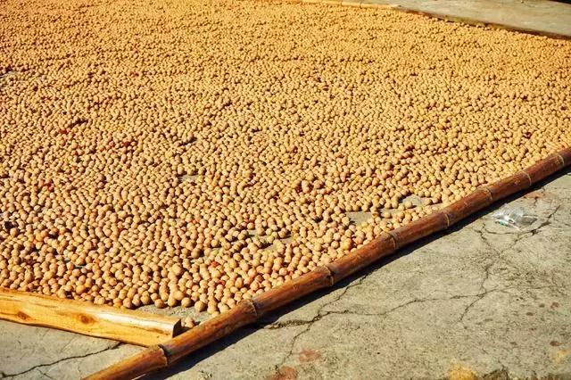 手剥山核桃制作过程,自制山核桃步骤