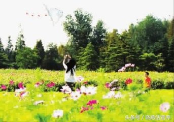 早衰卵巢能调理好吗,中药能调理卵巢早衰