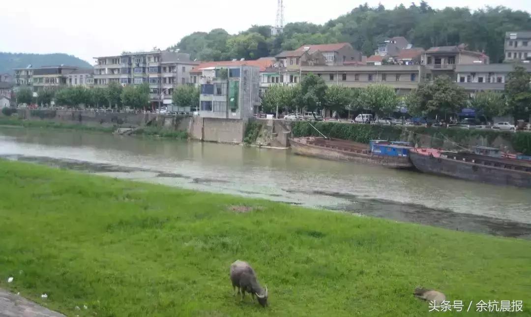 瓶窑古镇美食攻略,瓶窑镇老街美食