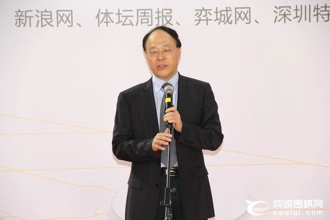 大湾区青少年围棋大赛,粤港澳大湾区围棋联赛