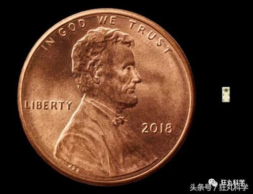 鑻规灉闂磋皪鑺墖鏄湡鐨勫悧,闂磋皪鍏ヤ镜鑺墖