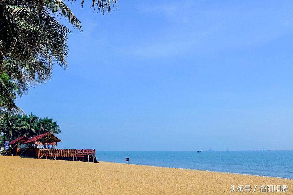 洛阳机场客流,2019年洛阳机场客流