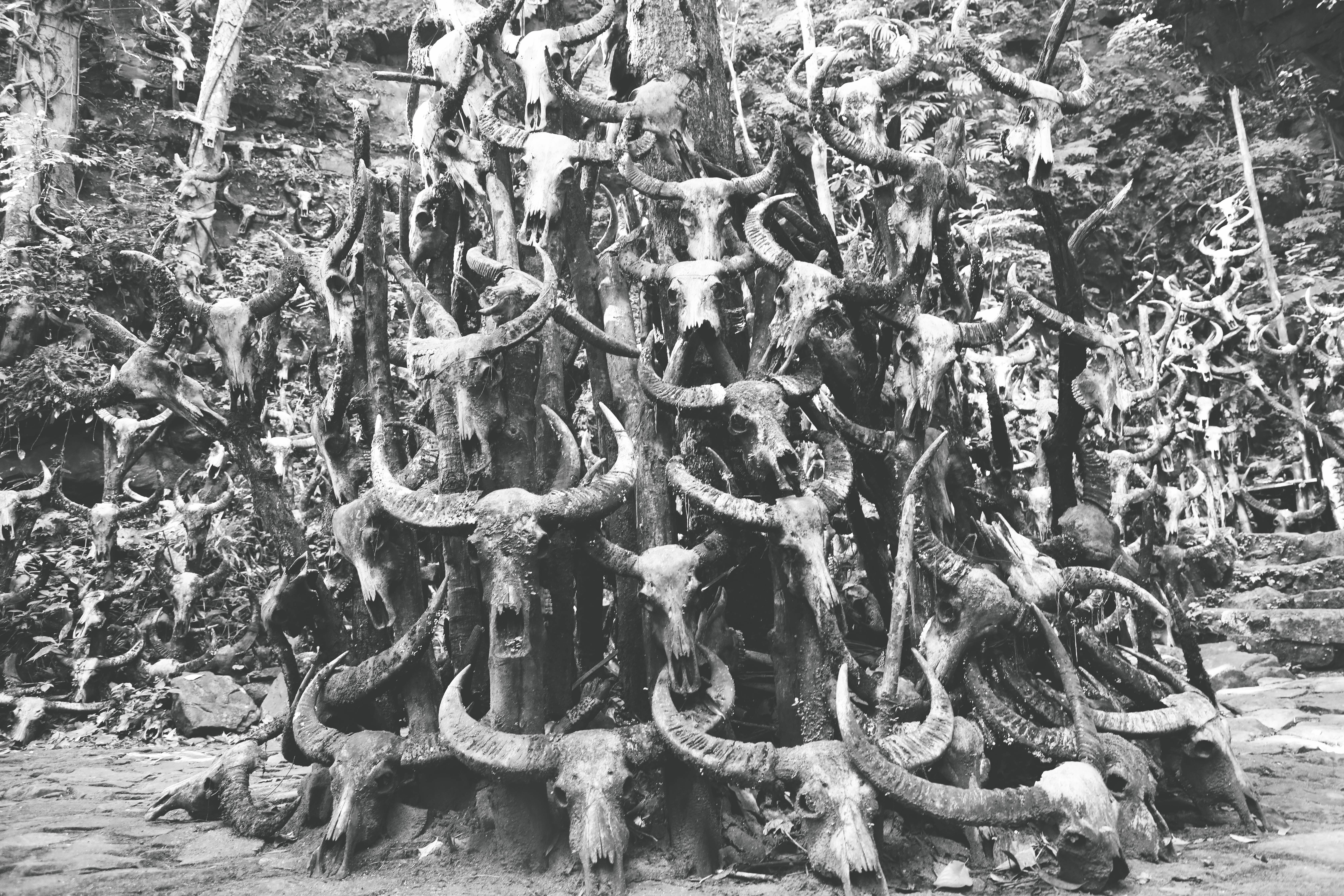 光唱歌就能给村里分红,曾祭人头的神秘佤族,走进你不知道的云南